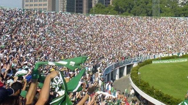 Slikovni rezultat za palmeiras fans