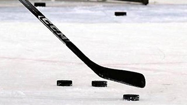 La Ligue Magnus arrêtée, aucun champion désigné