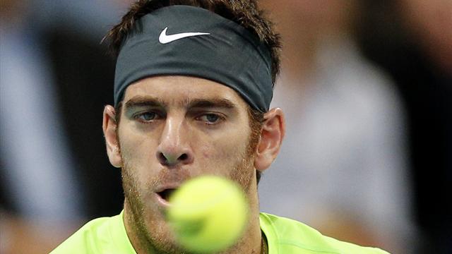 Del Potro s'offre enfin Federer