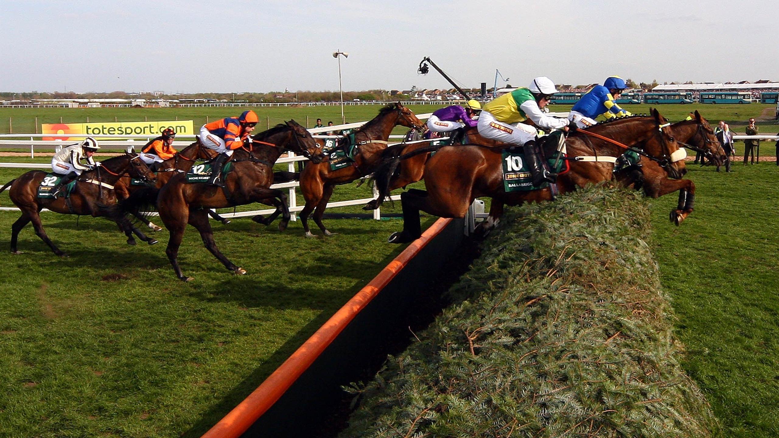Grand national guide to betting on baseball Grand national guide to betting on baseball mining bitcoins not worth it