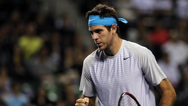 Del Potro fait retomber Raonic sur terre