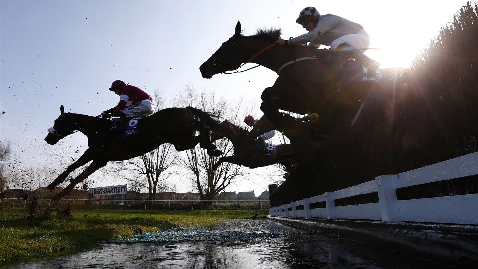 Two more horses die at Cheltenham Horse Racing Eurosport Asia