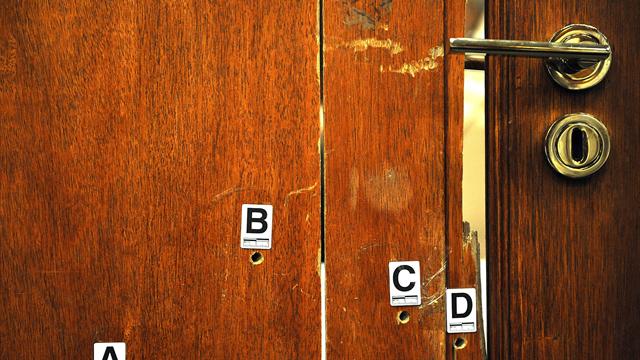 Procès Pistorius : la porte des WC a-t-elle claqué la nuit du meurtre ?