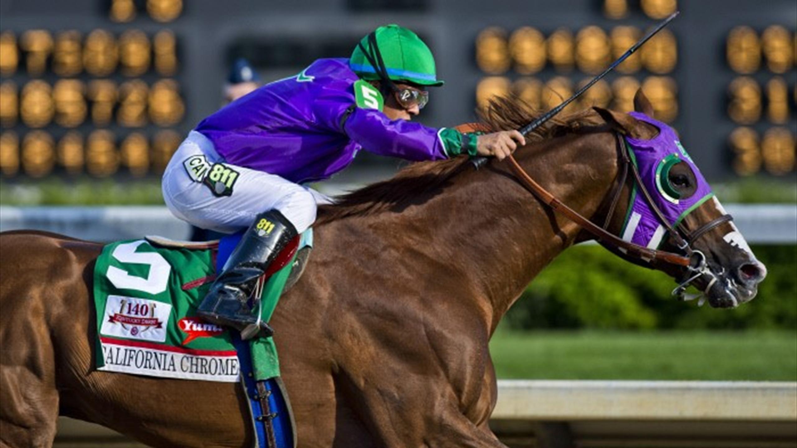 скаковой квотер. скачки хром. F-48 derby. кентукки дерби. лошадь бегущая дерби.