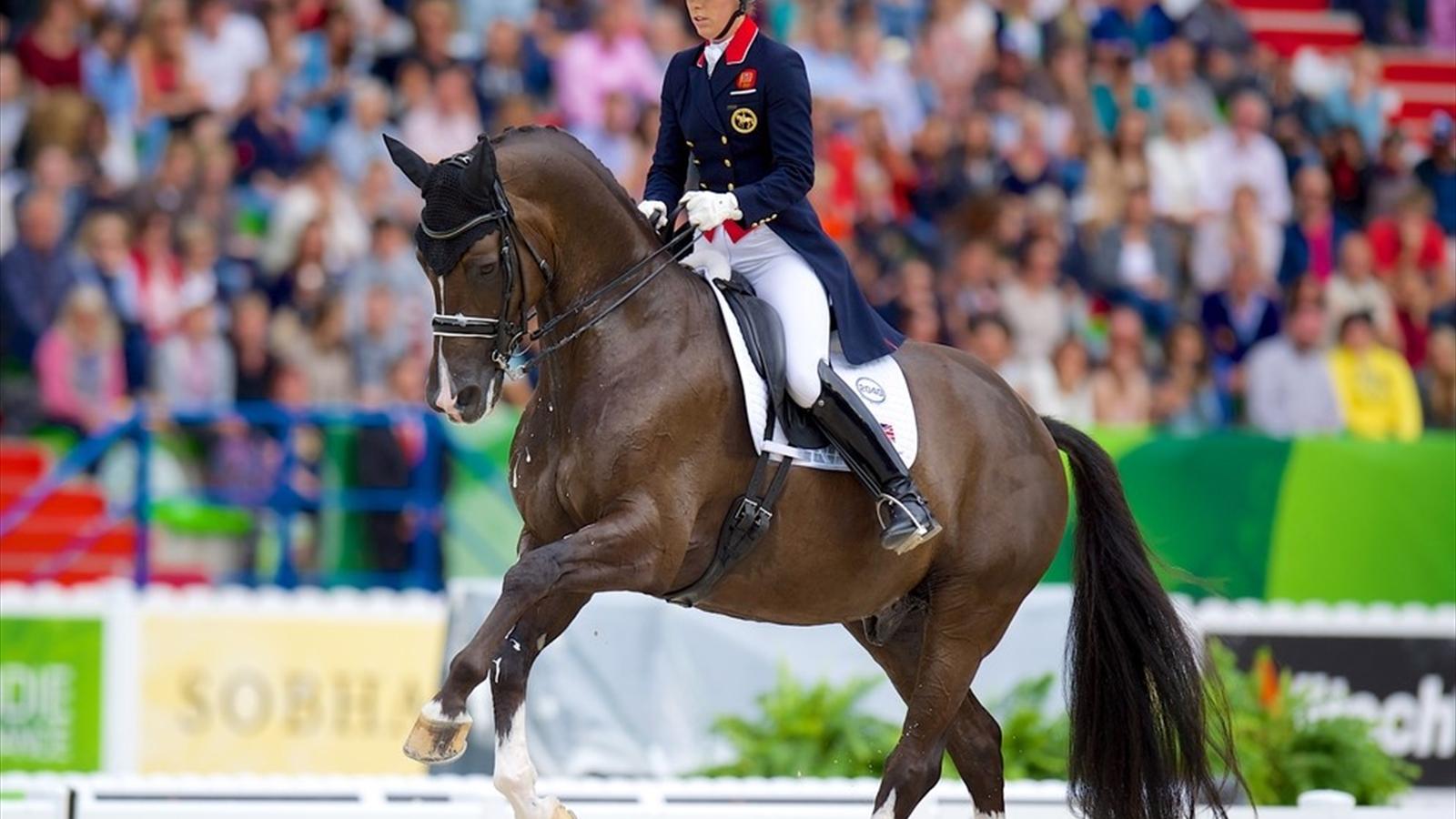 Qui sont les meilleurs chevaux du monde ? Equitation Eurosport