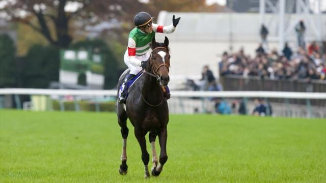 Les deux meilleurs chevaux du monde sont Japonais !