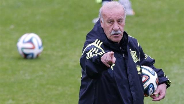 Motivos para la continuidad de Del Bosque tras la Eurocopa