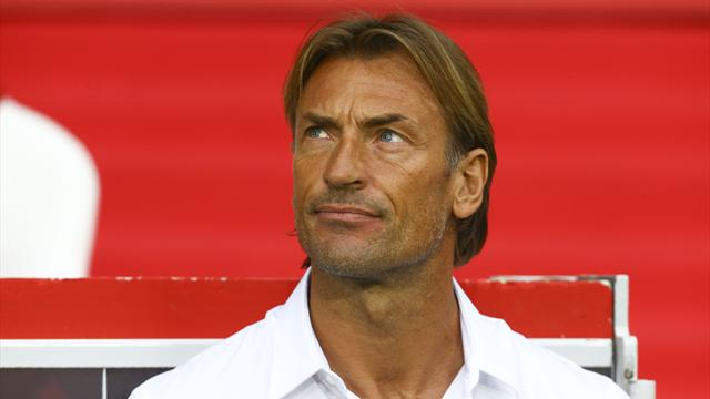 Renard, monument africain sous pression
