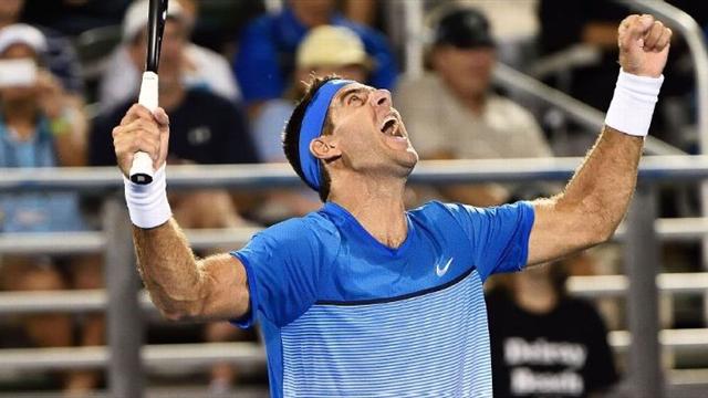 Del Potro zaferle döndü