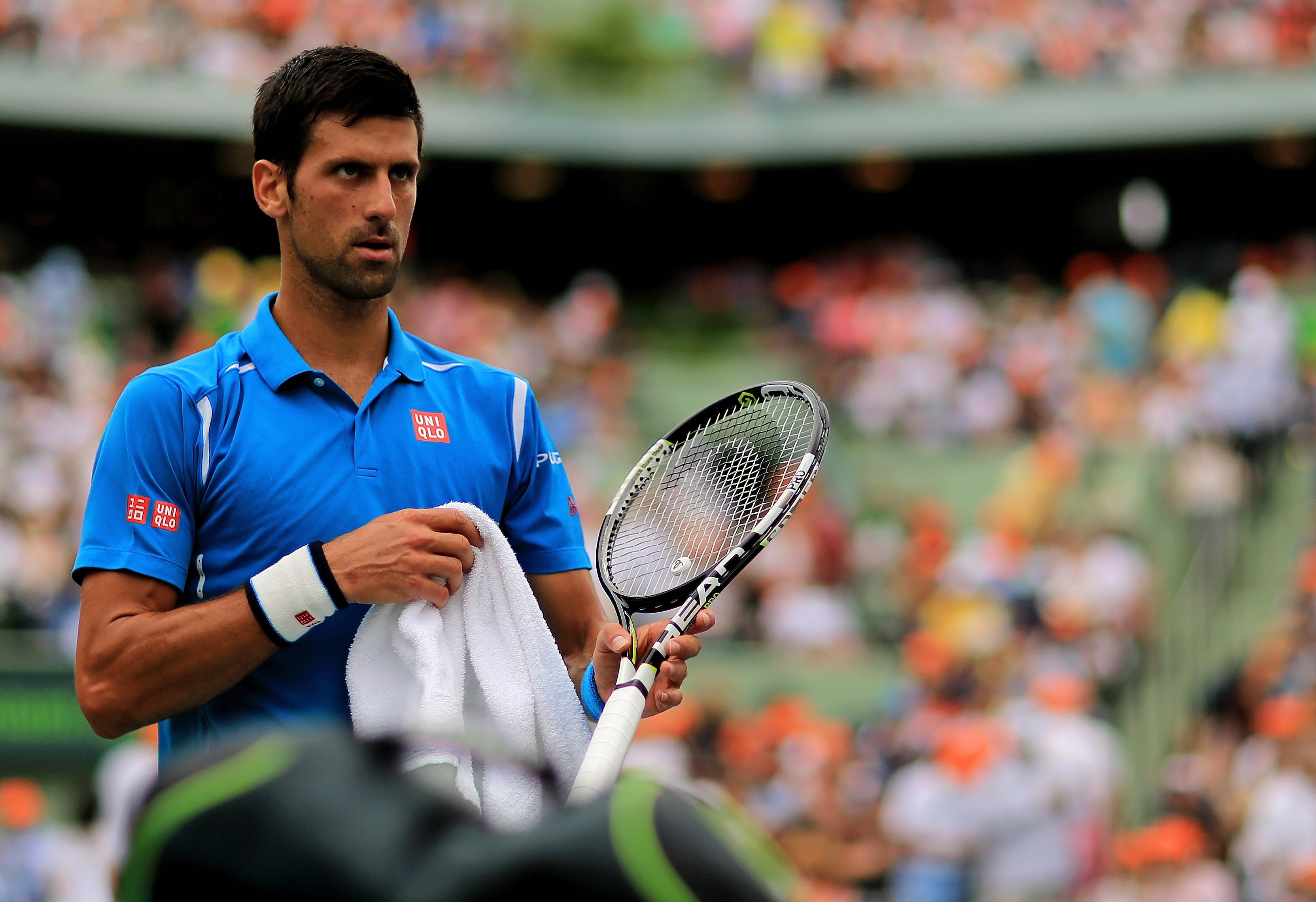 Теннис. Турнир ATP. Бухарест. Ставки на теннис на 20 Апреля 2016. Грунт Теннис. Турнир ATP. Бухарест. Ставки на теннис на 20 Апреля 2016. Грунт