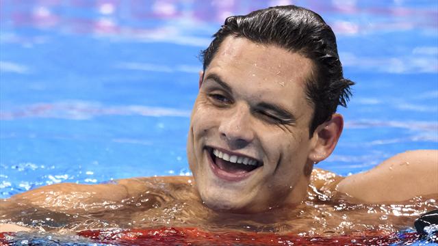 Manaudou replonge