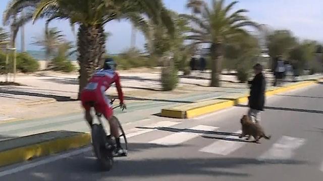 Dog walker forces Sagan to swerve off the road Dog walker forces Sagan to swerve off the road