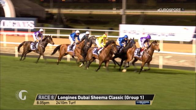 Horse Excellence: Dubai Sheema Classic Horse Excellence: Dubai Sheema Classic