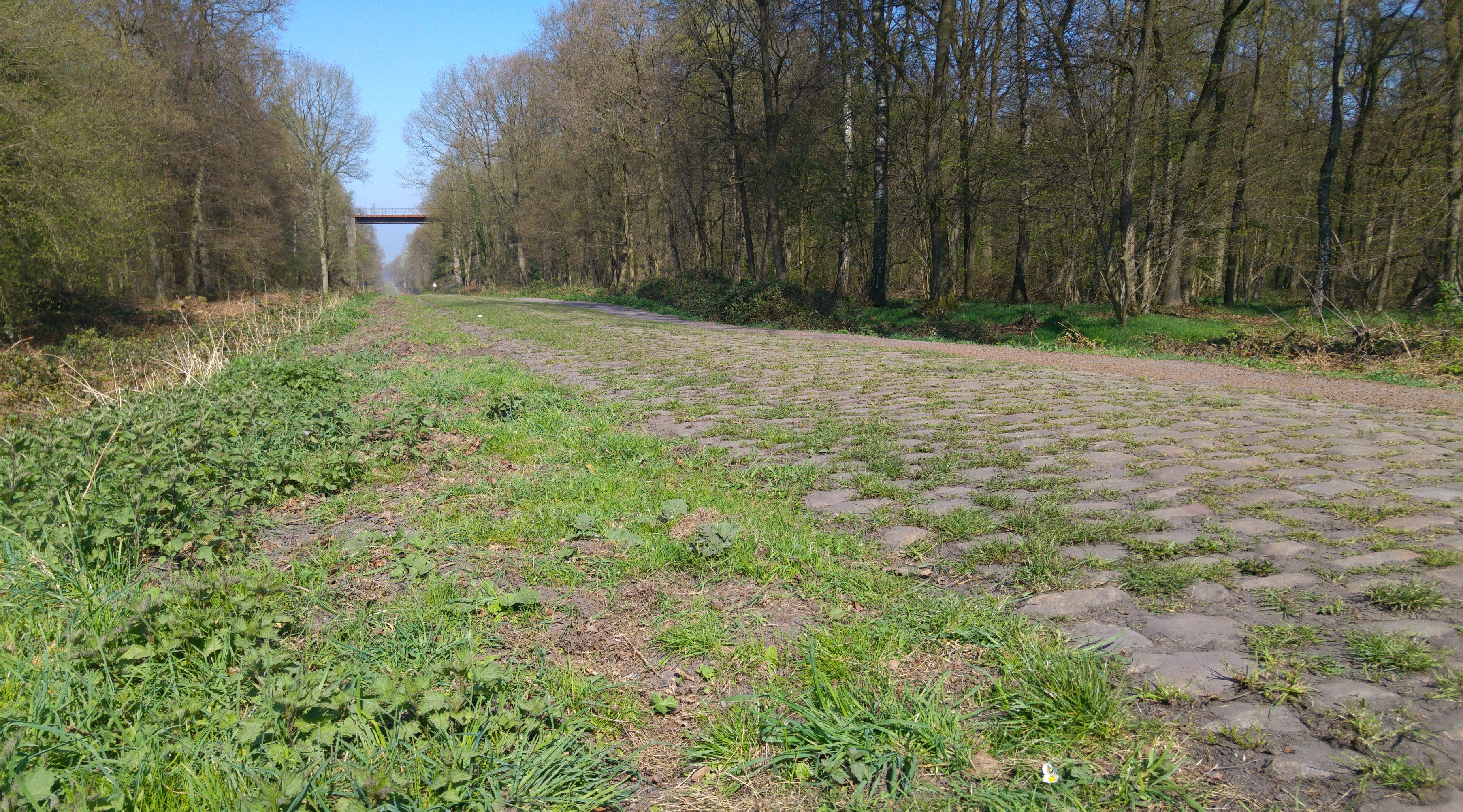 Arenberg - Paris - Roubaix 2017