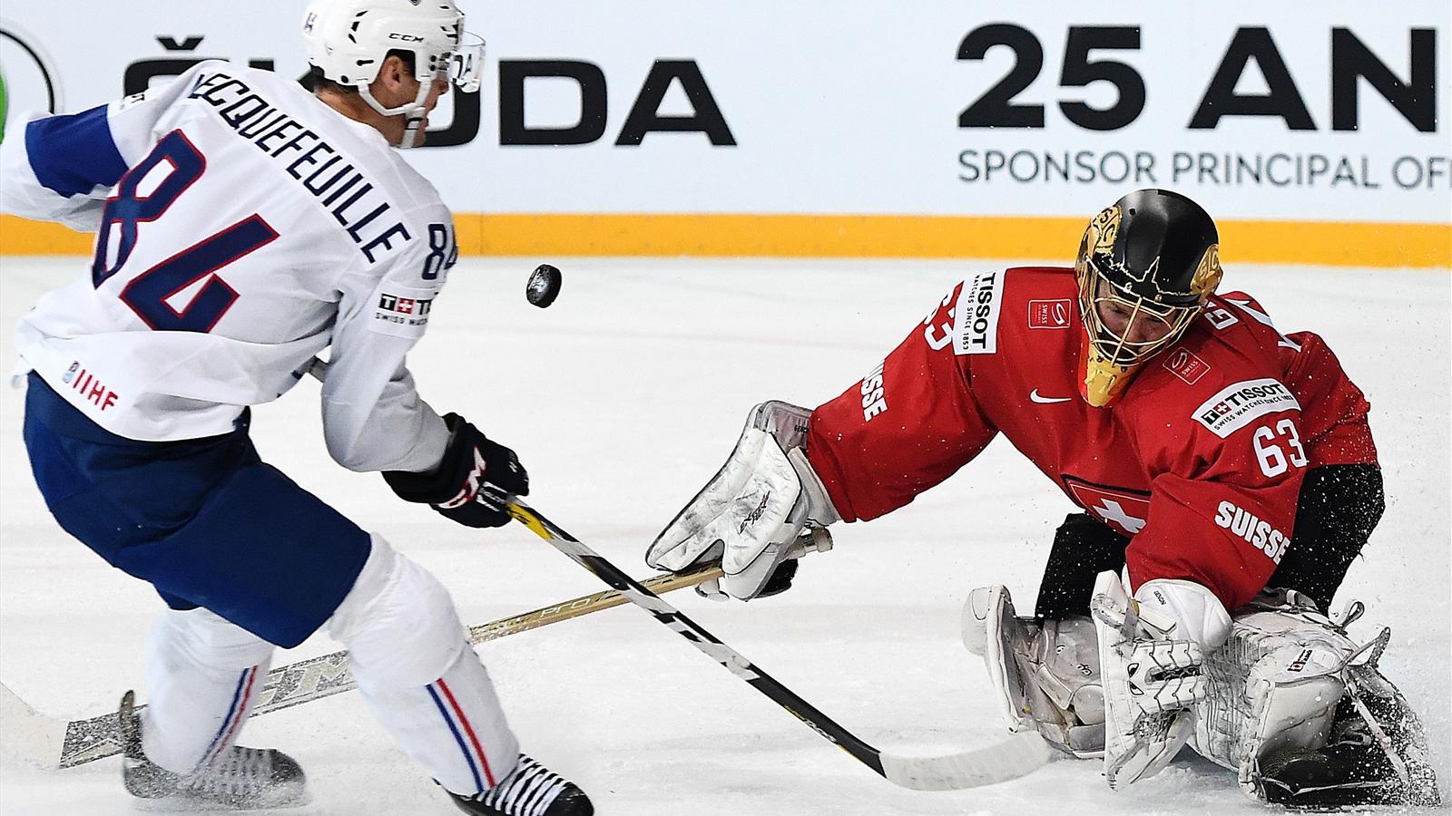 "Le hockeyeur français, c'est comme un bouledogue sur un os ...