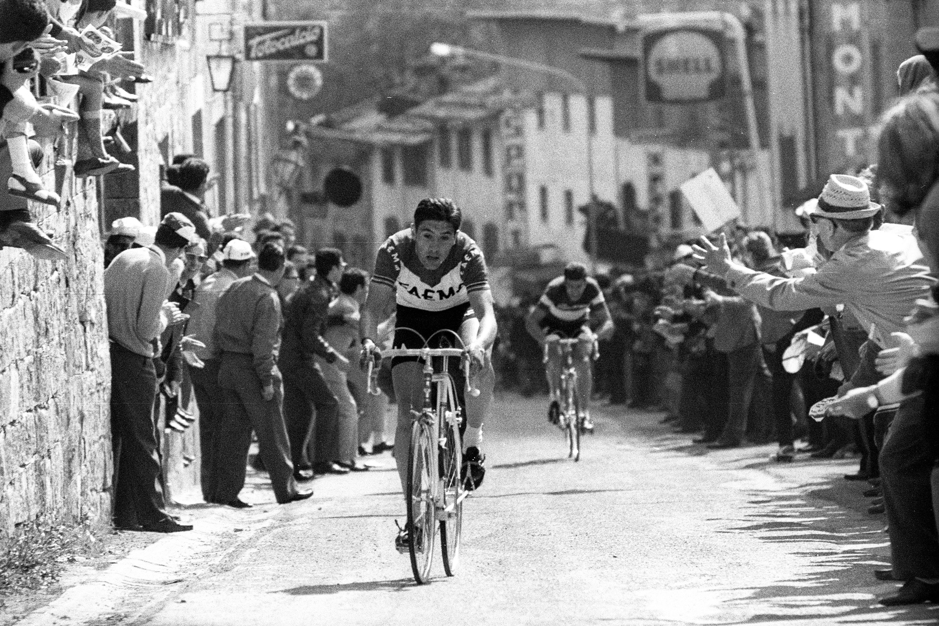 Eddy Merckx