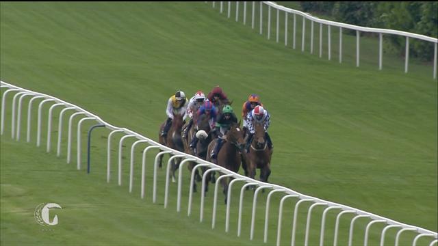 Horse Excellence : Sagaro Stakes (Horse Racing) Horse Excellence : Sagaro Stakes (Horse Racing)