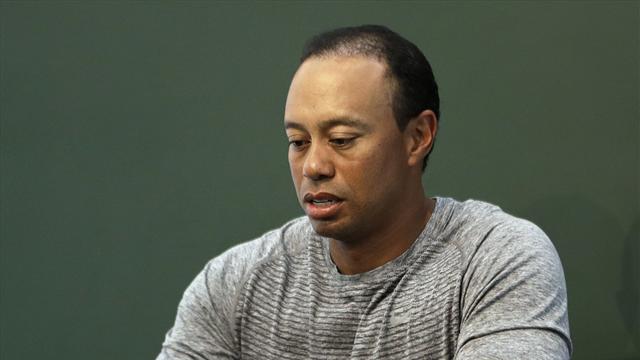 Legenden: – Tiger trenger vår hjelp