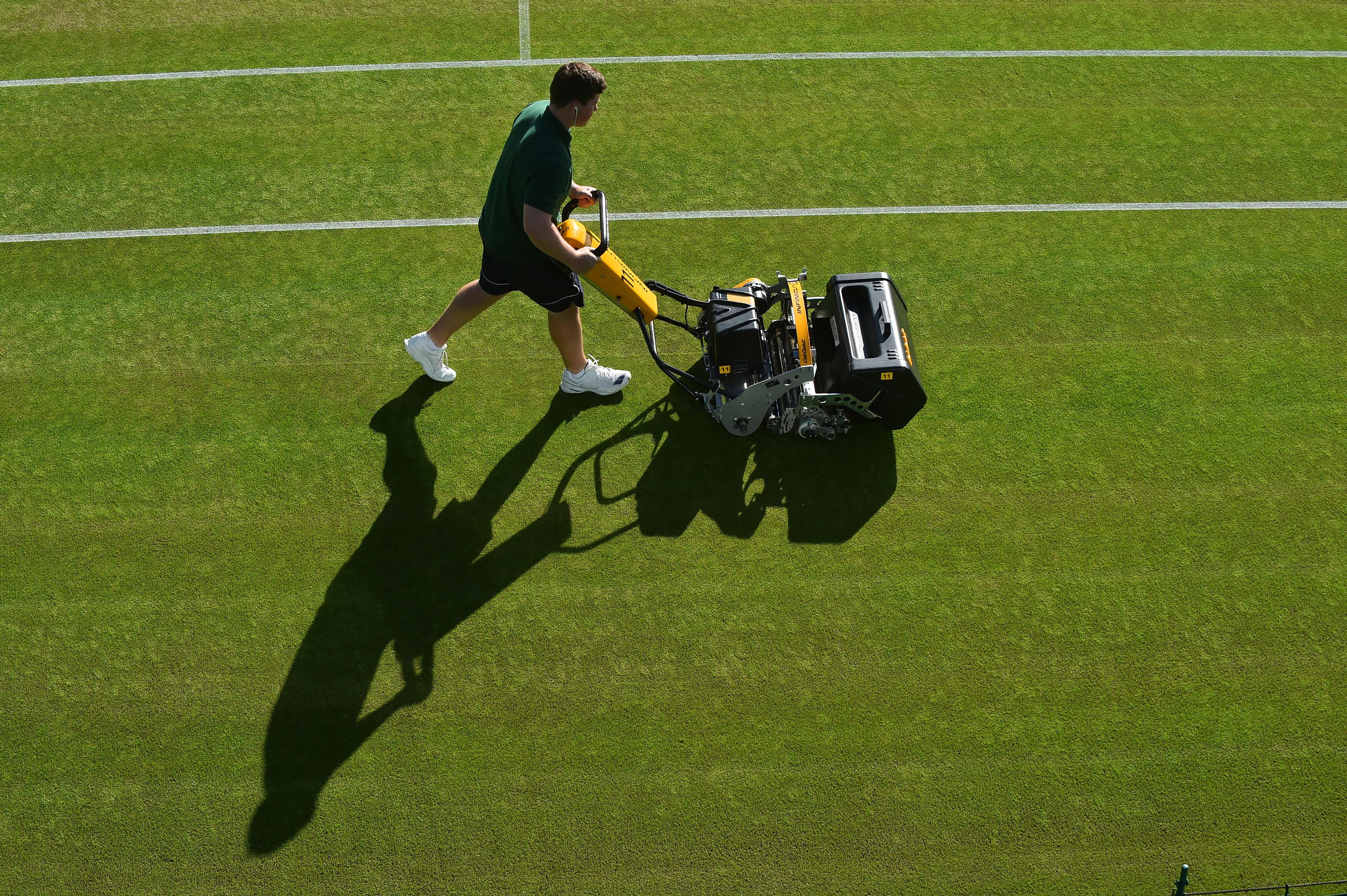 Grass of Wimbledon