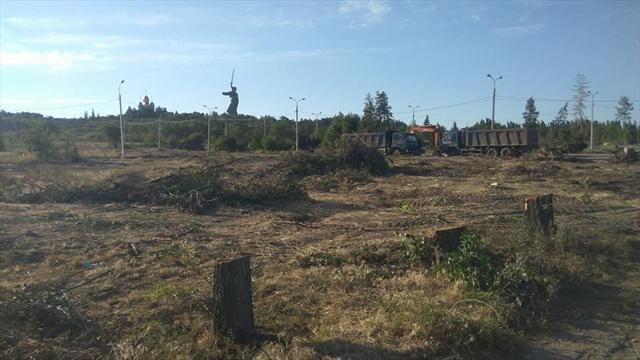 В Волгограде ради парковки к ЧМ-2018 вырубили деревья Парка сталинградских вдов