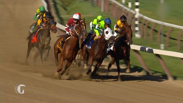 Horse Excellence: Whitney Stakes Saratoga Horse Excellence: Whitney Stakes Saratoga