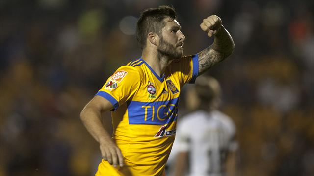 Gignac laisse éclater sa joie après le nouveau sacre des Tigres Gignac laisse éclater sa joie après le nouveau sacre des Tigres