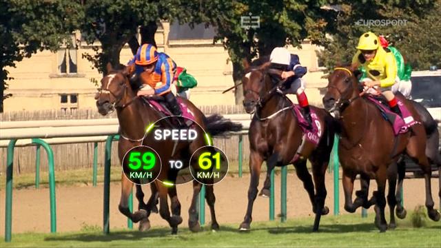 Sports Explainer: Mastering horse racing Sports Explainer: Mastering horse racing