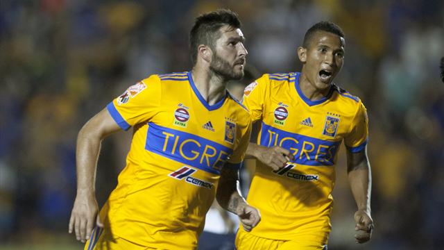 Les Tigres de Gignac se rapprochent d’une troisième finale de rang