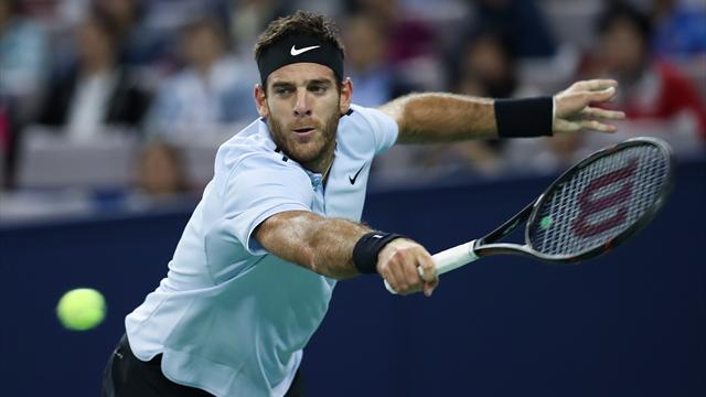 Nouvelle finale pour Del Potro, vainqueur de Cilic en demi-finale