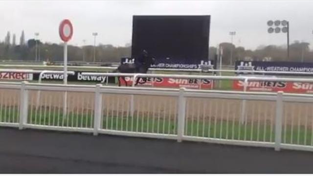 Michael Owen se pasa a las carreras de caballos Michael Owen se pasa a las carreras de caballos