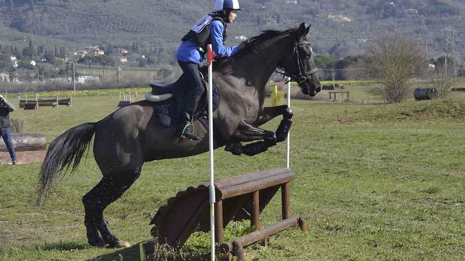 Equitazione di campagna, successo del primo concorso multidisciplinare