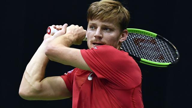 Goffin n'a pas vu le jour