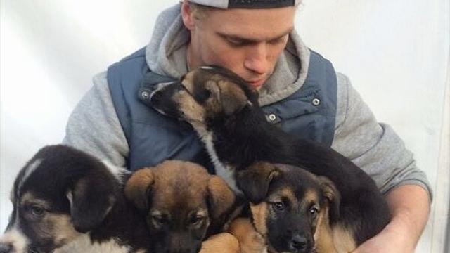 Olympia-Athlet rettet 90 Hunde in Korea