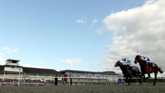 Master The World awarded Betway Winter Derby after Stewards’ inquiry drama