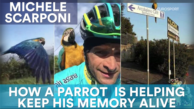 Michele Scarponi: How a parrot is helping keep his memory alive Michele Scarponi: How a parrot is helping keep his memory alive