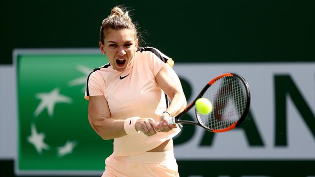 Halep facile, Stephens au forceps