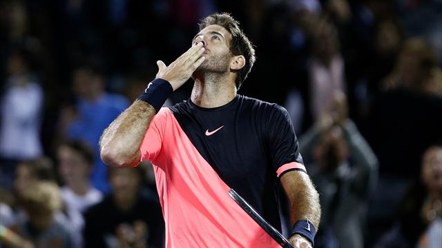 Dans la douleur, del Potro trouve encore le chemin de la victoire