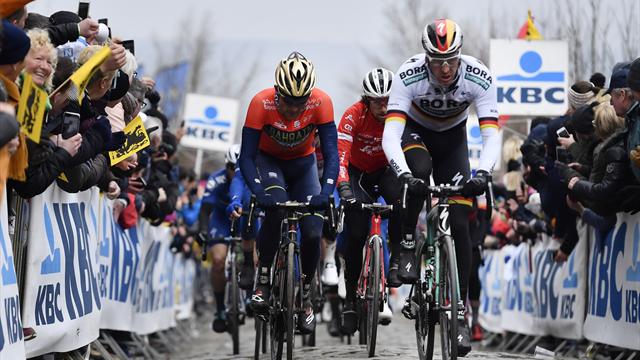 "Culturellement, les Français ne sont pas faits pour le Tour des Flandres" "Culturellement, les Français ne sont pas faits pour le Tour des Flandres"