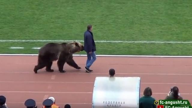 Матч ПФЛ в Пятигорске открыл медведь Тима. Не хватило балалаек и Путина