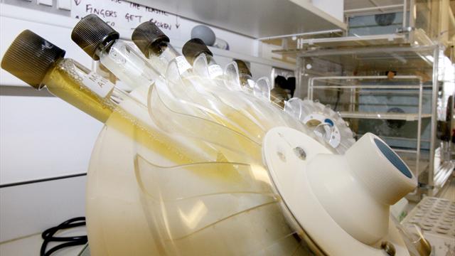 WADA bestätigt: Noch 9000 auffällige russische Proben