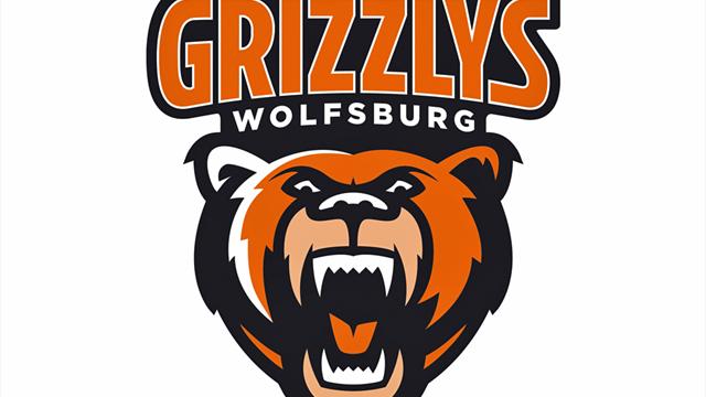Eishockey: Wolfsburg verpflichtet Stürmer Möchel
