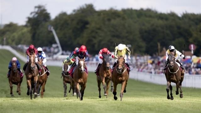 Chinesische und internationale Jockeys bereit für Chengdu