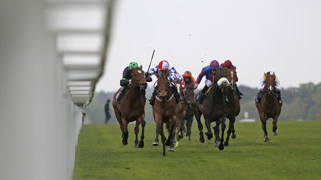 Offener Schlagabtausch bei den Sagaro Stakes?