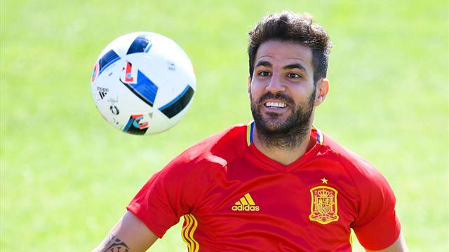 ‘Wait, maybe…’ – Fabregas gets excited after Spain sacking