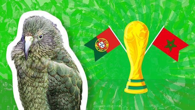 Le prono de Newton : entre le Portugal et le Maroc, qui décrochera sa première victoire ? Le prono de Newton : entre le Portugal et le Maroc, qui décrochera sa première victoire ?