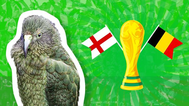 Le prono de Newton : Angleterre-Belgique, un choc qui n’a pas fait trembler notre kéa