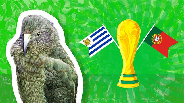Le prono de Newton : et le vainqueur d’Uruguay – Portugal est…
