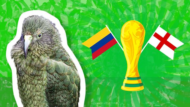 Les compos probables — Colombie-Angleterre