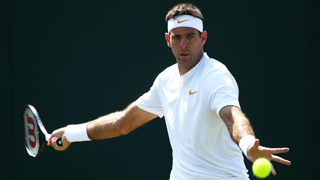 Del Potro cruiset naar vierde ronde van Wimbledon