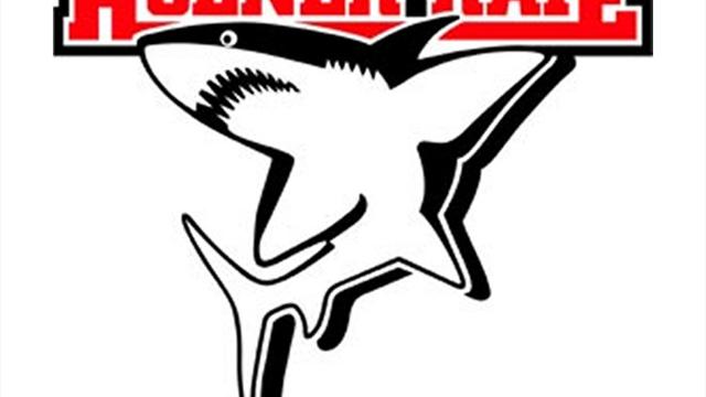 Kölner Haie verpflichten Zalewski aus Straubing
